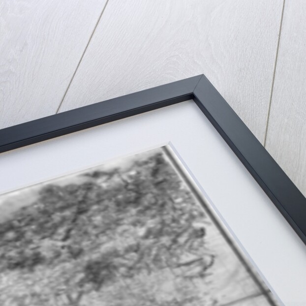 Map of Algeria, 1876 by French School