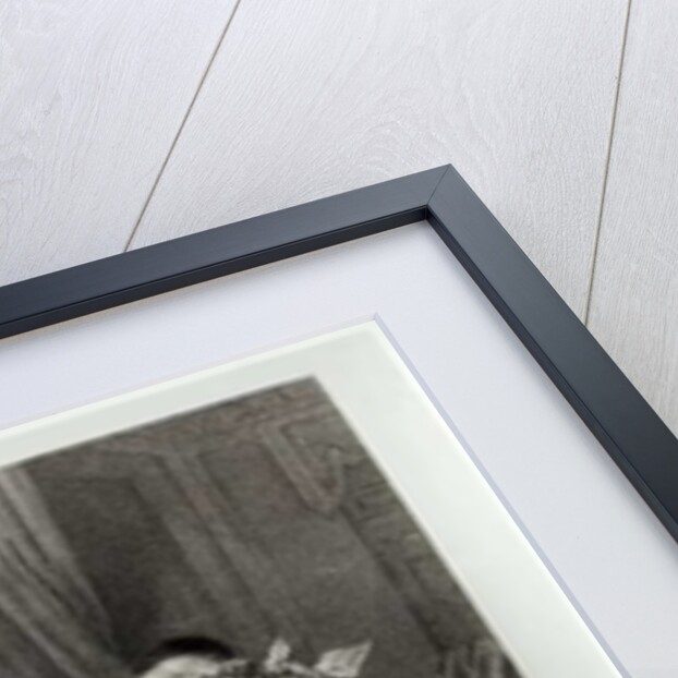 Figaro by Pierre Gustave Eugene Staal