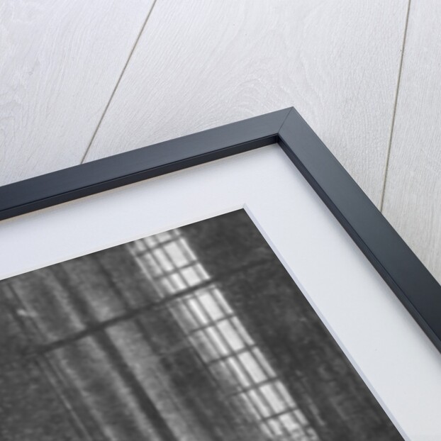 Thomas Jacobsz Haaring the Younger, 1656 by Rembrandt Harmensz. van Rijn