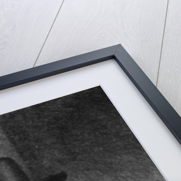 Ephraim Bonus, known as 'The Jew with the Banister' 1647 by Rembrandt Harmensz. van Rijn