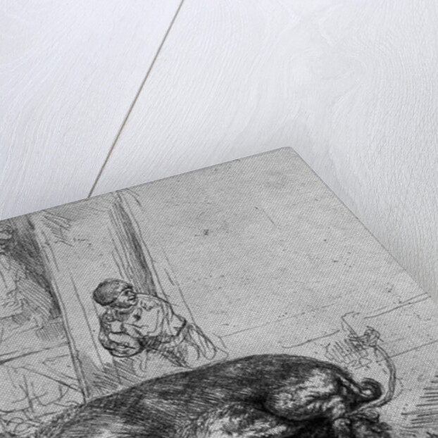 The Sow, 1643 by Rembrandt Harmensz. van Rijn