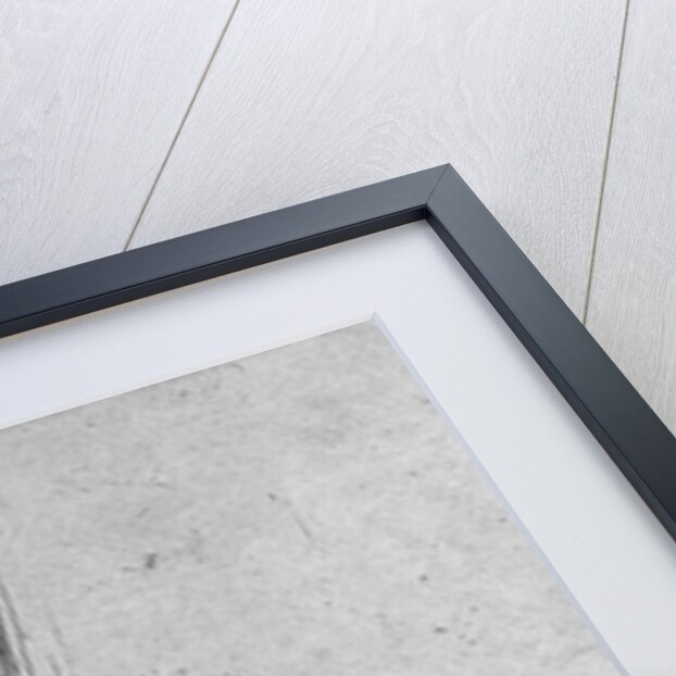 The Sow, 1643 by Rembrandt Harmensz. van Rijn