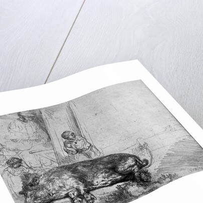 The Sow, 1643 by Rembrandt Harmensz. van Rijn