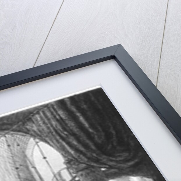 Medea, or the Marriage of Jason and Creusa, 1648 by Rembrandt Harmensz. van Rijn