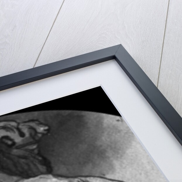 Camels by Rembrandt Harmensz. van Rijn