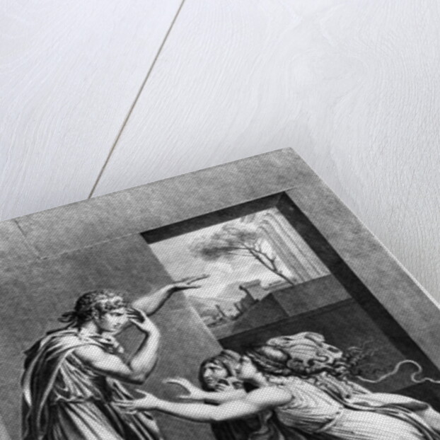 Andromache at the feet of Pyrrhus by Anne Louis Girodet de Roucy-Trioson