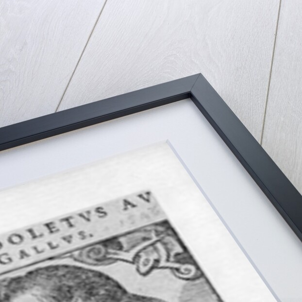 Etienne Dolet 1546 by French School