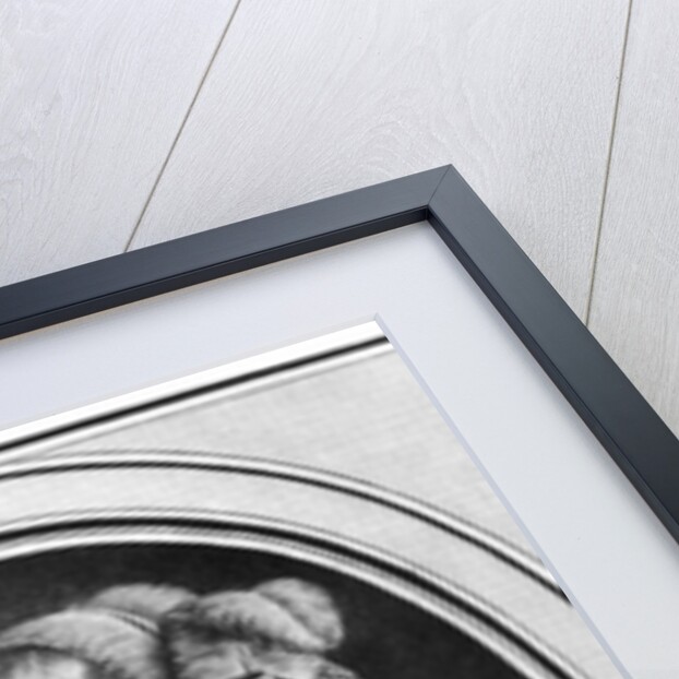 Louise Contat de Parny in the role of Suzanne by French School