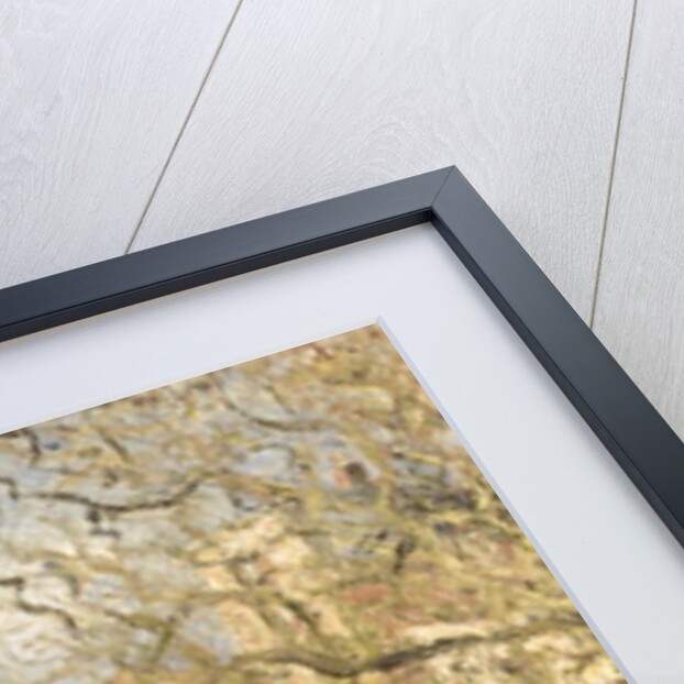 The Vegetable Garden, 1878 by Camille Pissarro