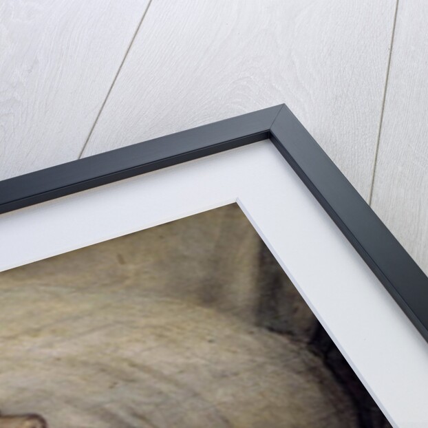 Napoleon I on his Deathbed, 1825 by Emile Jean Horace Vernet