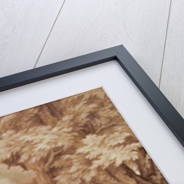 Venus Discovering Adonis by Francois Chauveau