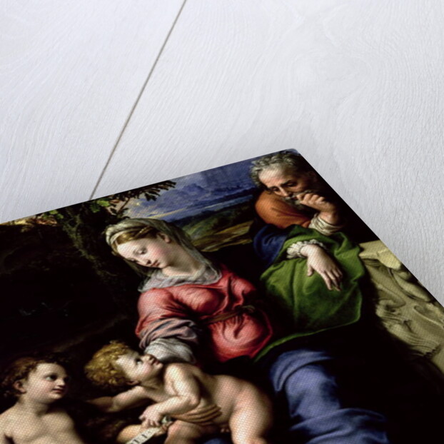 The Holy Family of the Oak Tree, c.1518 by Raphael