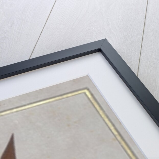 A Writer by Turkish School