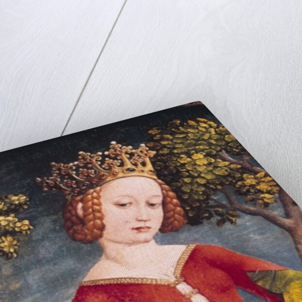 St. George and the Dragon by Jost Haller