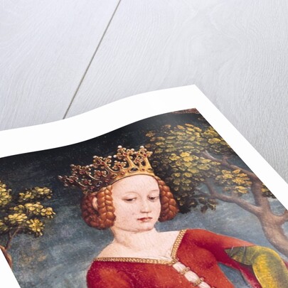 St. George and the Dragon by Jost Haller