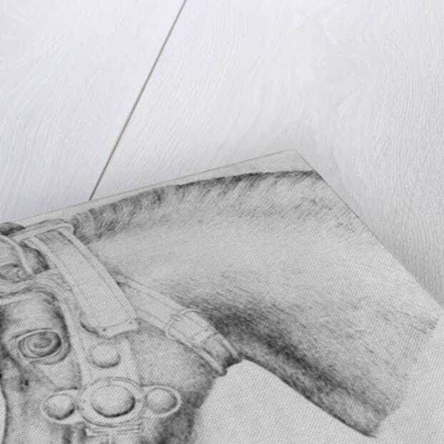 Head of a horse by Antonio Pisanello