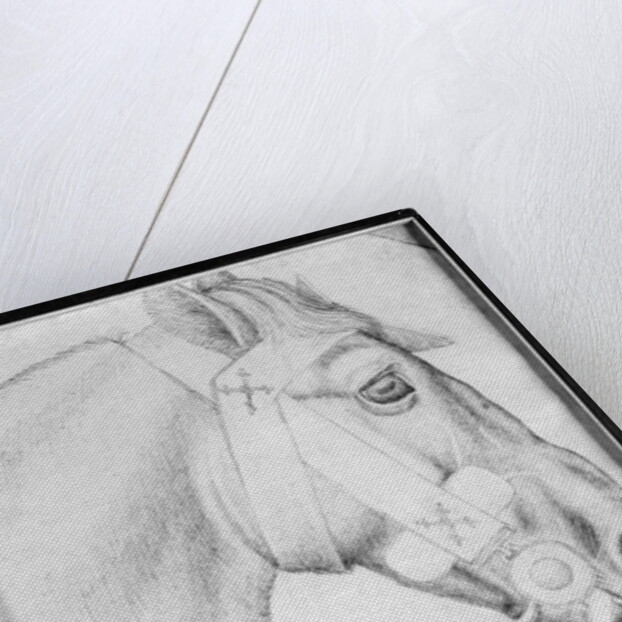 Head of a horse by Antonio Pisanello