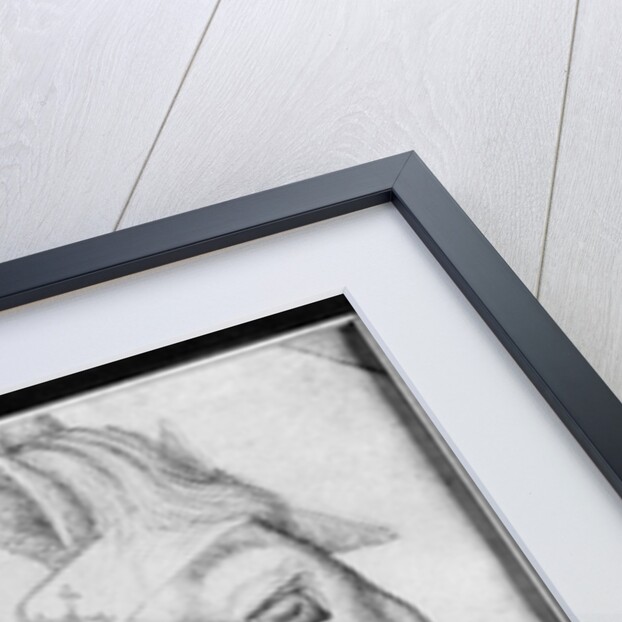 Head of a horse by Antonio Pisanello