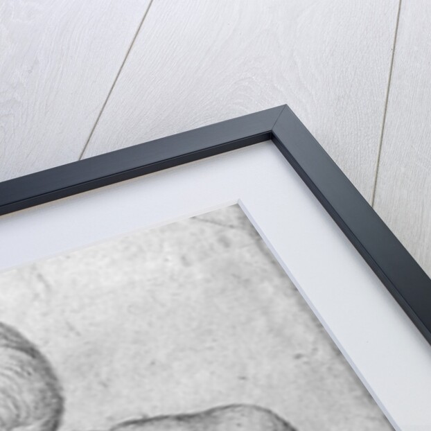 Boy reading by Antonio Pisanello