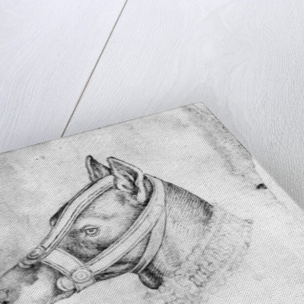 Head of a muzzled dog by Antonio Pisanello