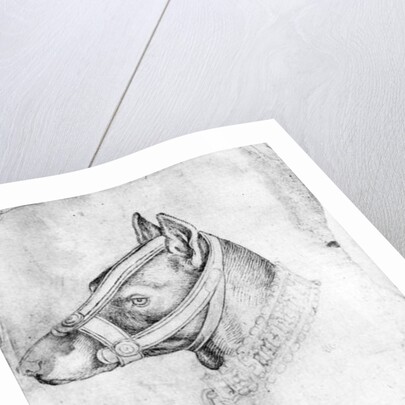 Head of a muzzled dog by Antonio Pisanello