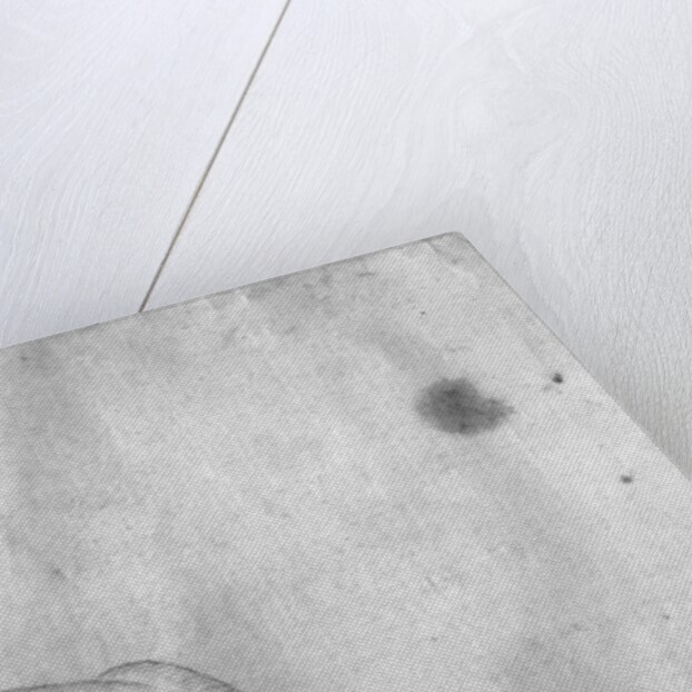 Resting stag, seen from behind by Antonio Pisanello