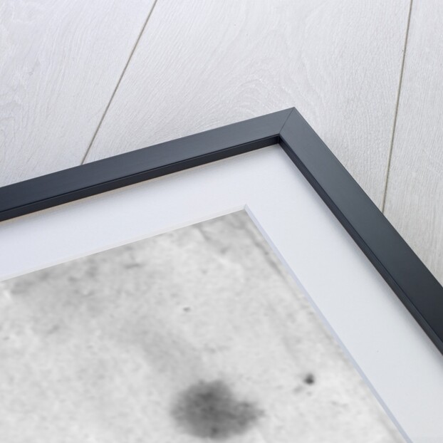 Resting stag, seen from behind by Antonio Pisanello