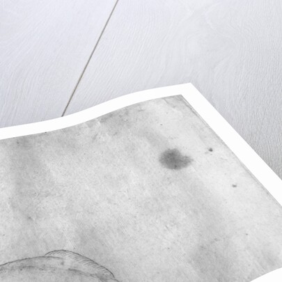 Resting stag, seen from behind by Antonio Pisanello