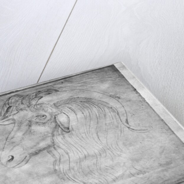 Ram and head of a ram by Antonio Pisanello