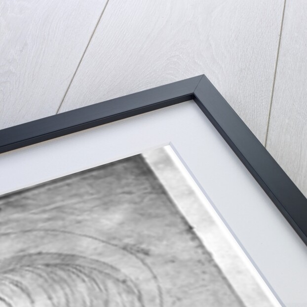 Ram and head of a ram by Antonio Pisanello