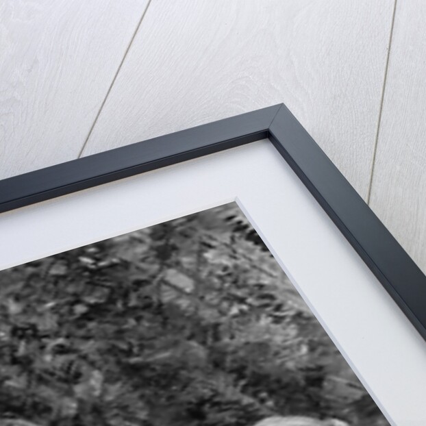 Young Woman in a Garden, 1883 by Berthe Morisot