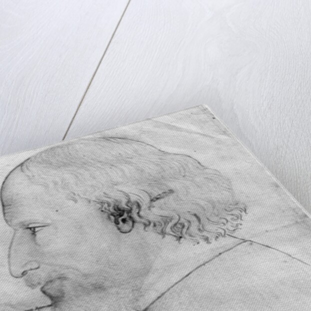 Sigismund, Holy Roman Emperor by Antonio Pisanello