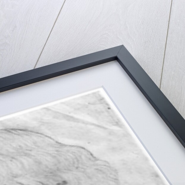 Sigismund, Holy Roman Emperor by Antonio Pisanello