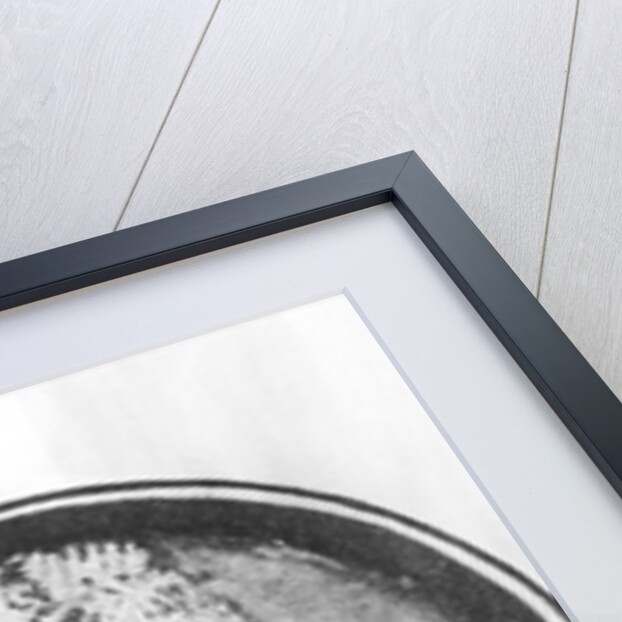 Olympia of Gouges by French School