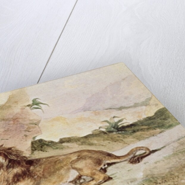 A Lion in the Desert, 1834 by Ferdinand Victor Eugene Delacroix