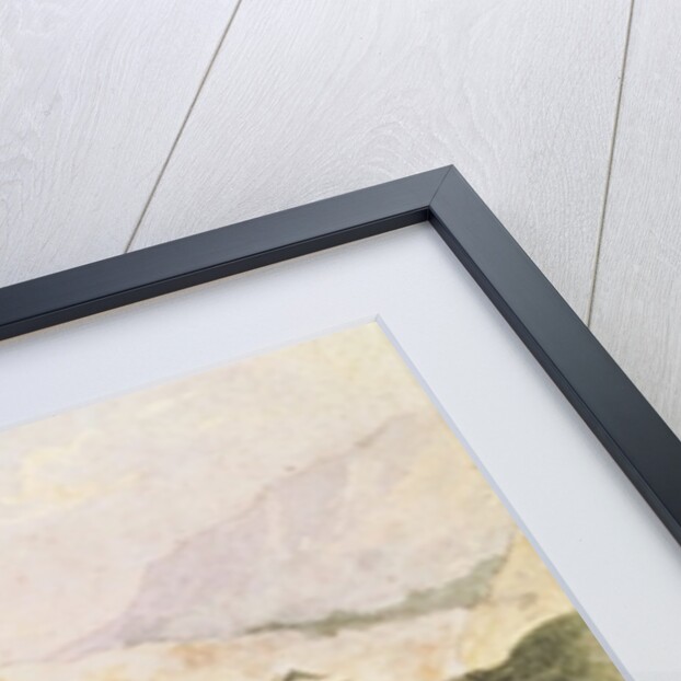 A Lion in the Desert, 1834 by Ferdinand Victor Eugene Delacroix