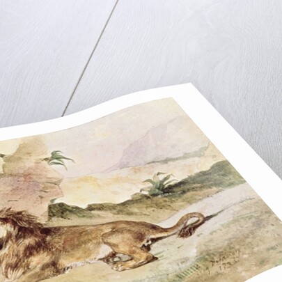 A Lion in the Desert, 1834 by Ferdinand Victor Eugene Delacroix