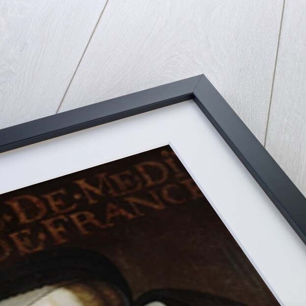 Catherine de Medici by Francois Clouet