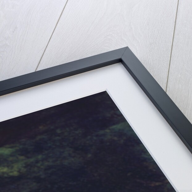 Lion Resting by Ferdinand Victor Eugene Delacroix