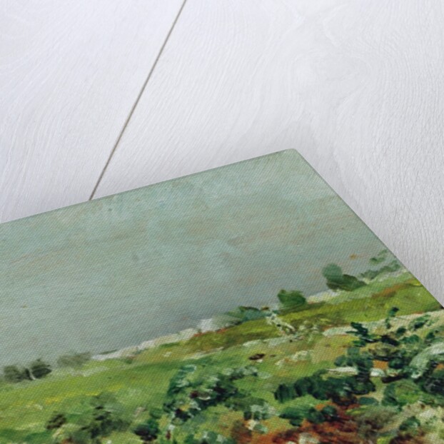 Celeyran, View of the Vineyard, 1880 by Henri de Toulouse-Lautrec