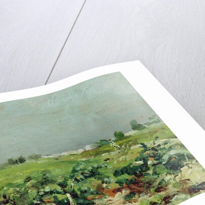 Celeyran, View of the Vineyard, 1880 by Henri de Toulouse-Lautrec