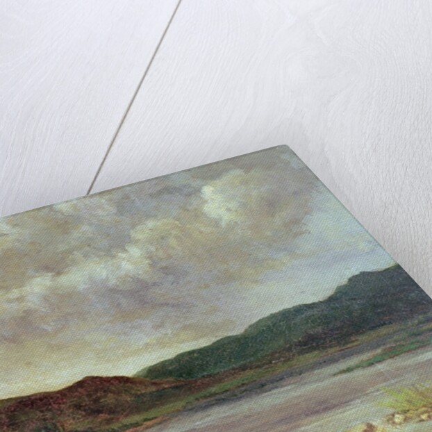 The Black Lake, 1872 by Gustave Courbet