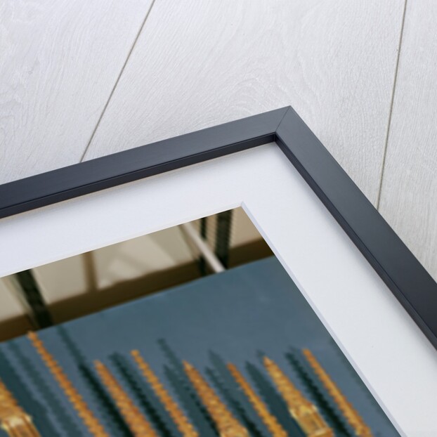 Polyptych depicting the Virgin and Child with Twelve Saints by Jacques de Pula