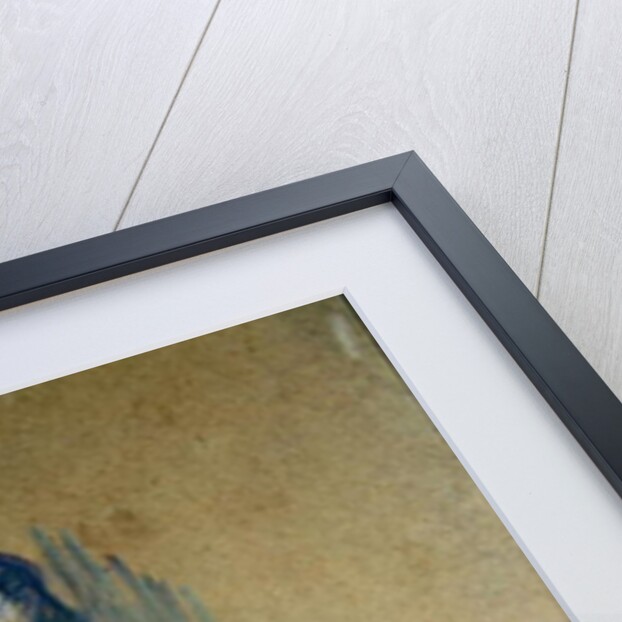 Standing Female Nude, 1898 by Henri de Toulouse-Lautrec