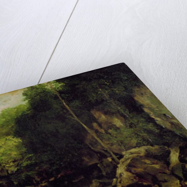 Le well-noir, Doubs by Gustave Courbet