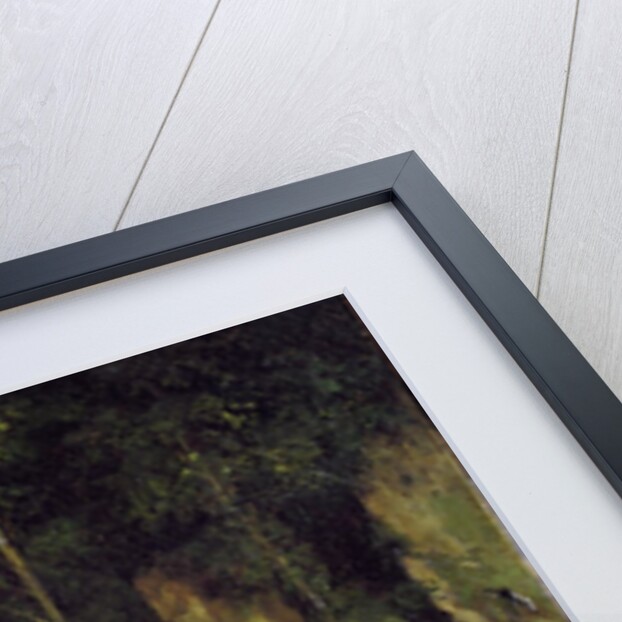 Le well-noir, Doubs by Gustave Courbet