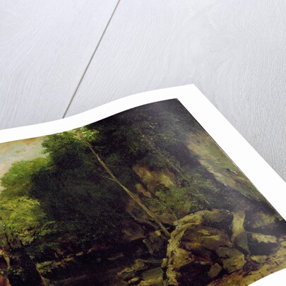 Le well-noir, Doubs by Gustave Courbet