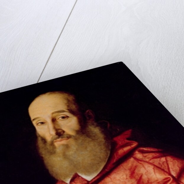 Cardinal Antoine Perronot de Granvelle by Scipione Pulzone