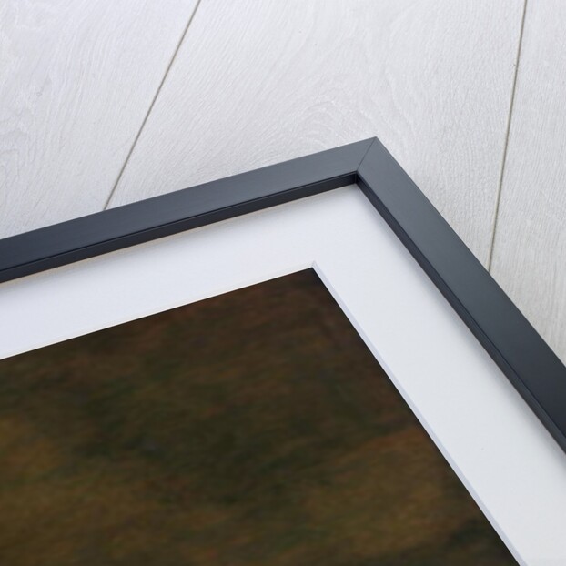 The Blackcurrant Tart, 1635 by Willem Claesz. Heda