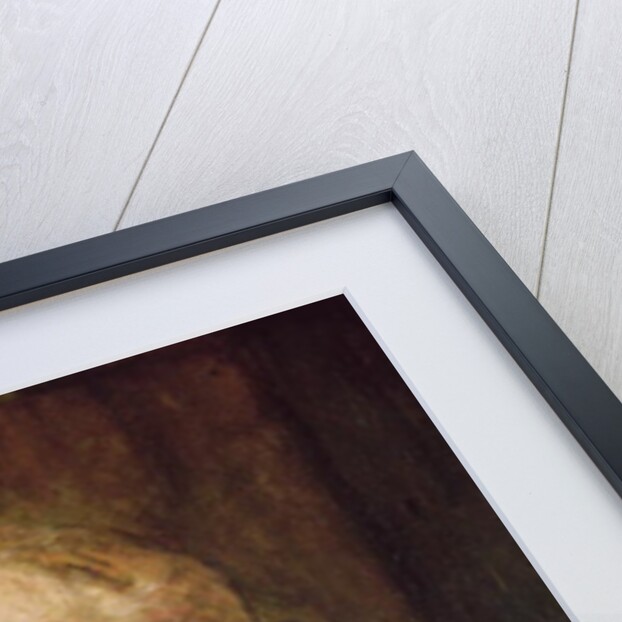 Head of an Old Man, c.1650 by Rembrandt Harmensz. van Rijn